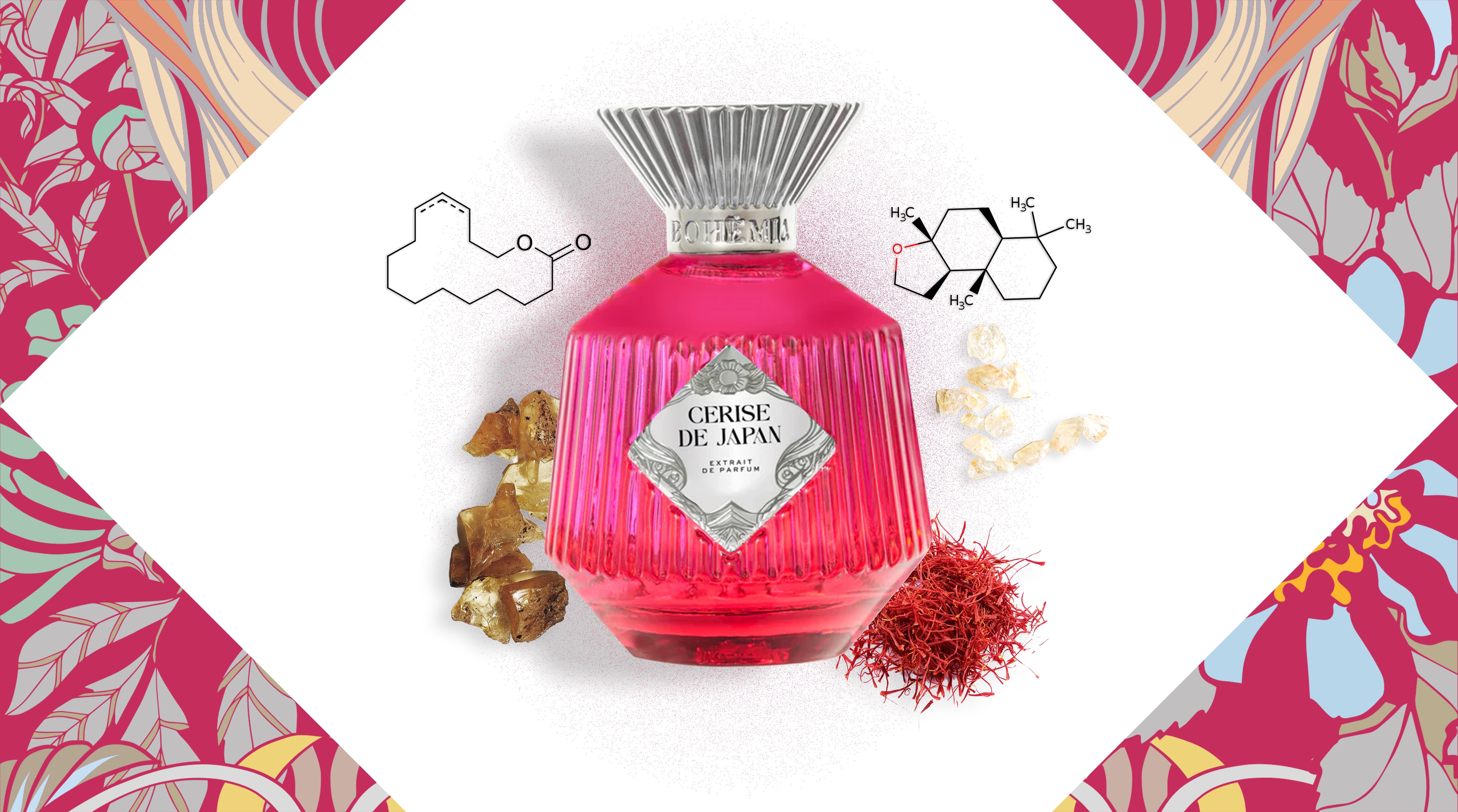 CERISE DE JAPAN